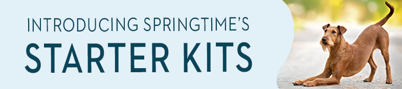 Springtime's Starter Kits for Dogs