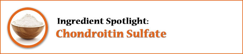 Ingredient Spotlight: Chondroitin Sulfate