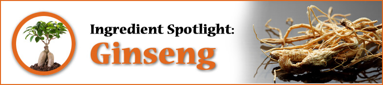 Ingredient Spotlight: Ginseng