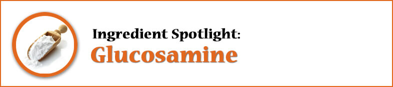 Ingredient Spotlight: Glucosamine HCl