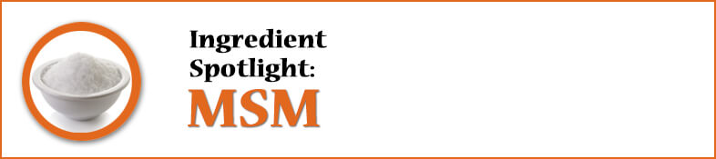 Ingredient Spotlight: MSM